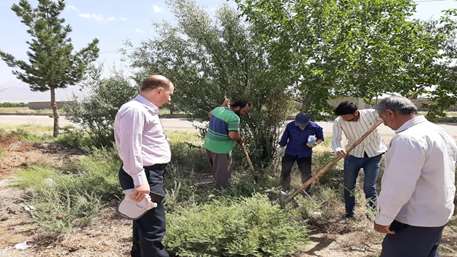  مبارزه با سالک